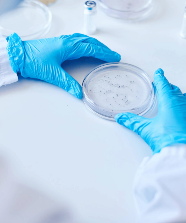 Test de charge microbienne en laboratoire chez Nano-Test.de pour contrôler la charge microbienne et la qualité des produits