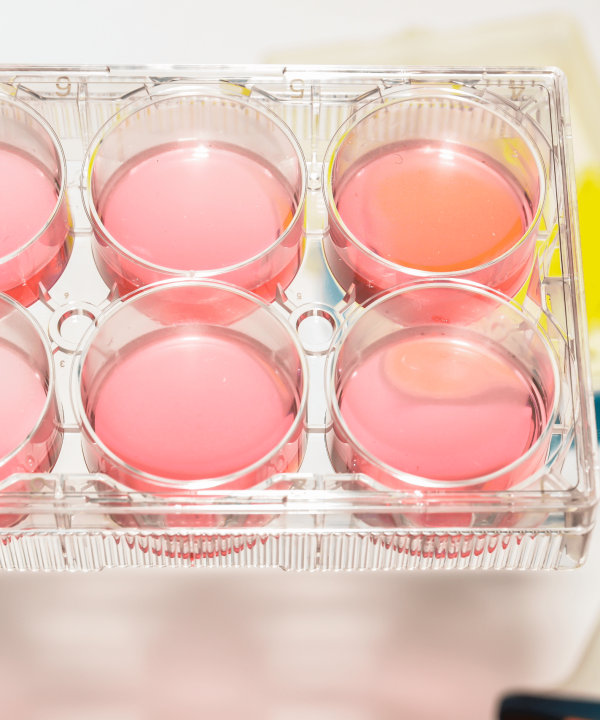 Tests in vitro réalisés en laboratoire chez Nano-Test.de pour analyser la sécurité et l'efficacité