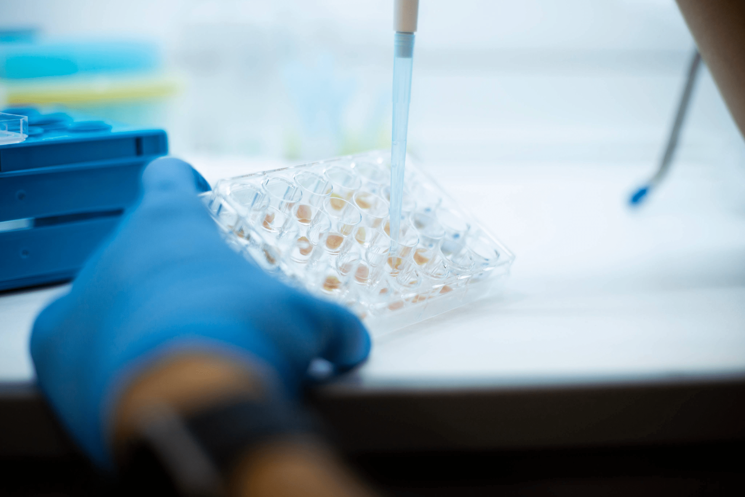 Sensibilisierungstest für medizinische Geräte nach EN ISO 10993-10 im Labor bei Nano-Test.de zur Bewertung von Hautverträglichkeit und Sicherheit