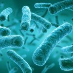 Legionella &amp; PFAS in Drinking Water