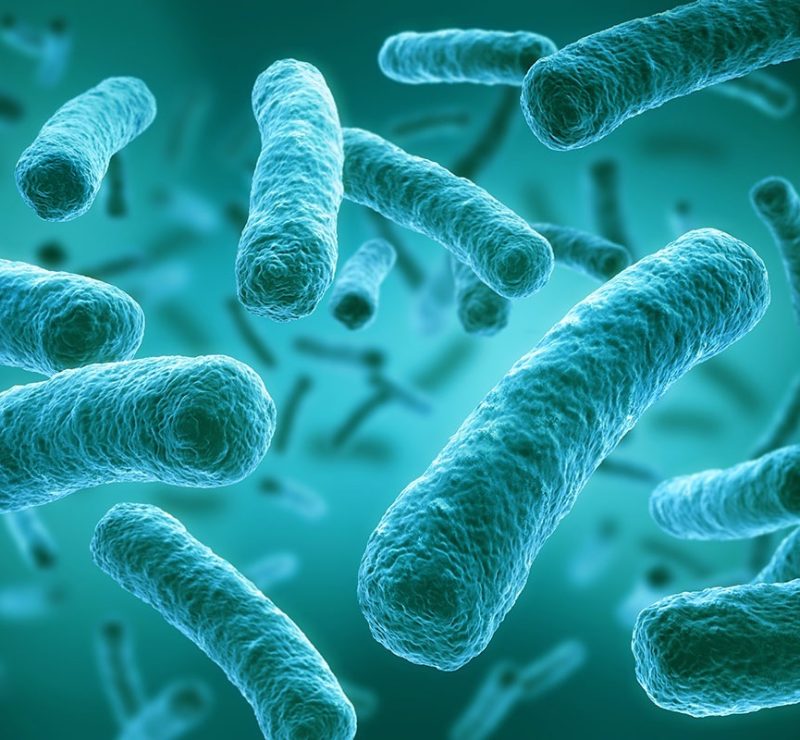 Laboranalysen von Trinkwasser auf Legionellen und PFAS-Kontaminationen, Nano-Test.de informiert über Testmethoden, Sicherheitsbewertung und regulatorische Anforderungen
